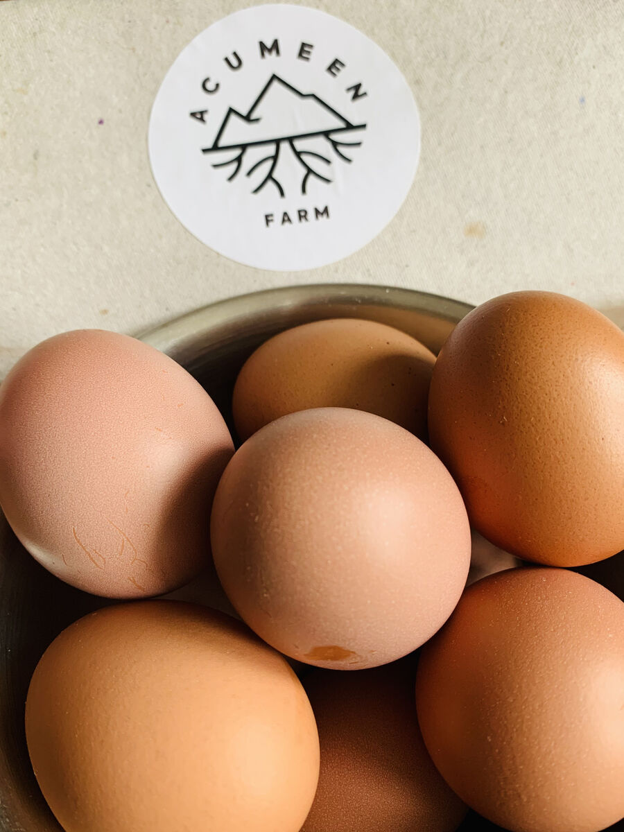 Acumeen Farm Free Range Eggs are The Menu’s food pick this week