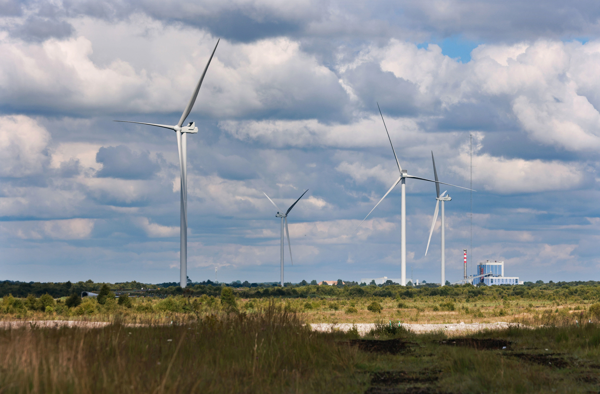 State intervention in energy sector needs long-term strategy