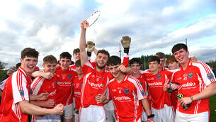 <p>CELEBRATIONS: Beara captain Fintan Fenner celebrates with his team after their victory over Castlehaven in the U19 Premier 1 football final at Bantry. Picture: Dan Linehan</p>
