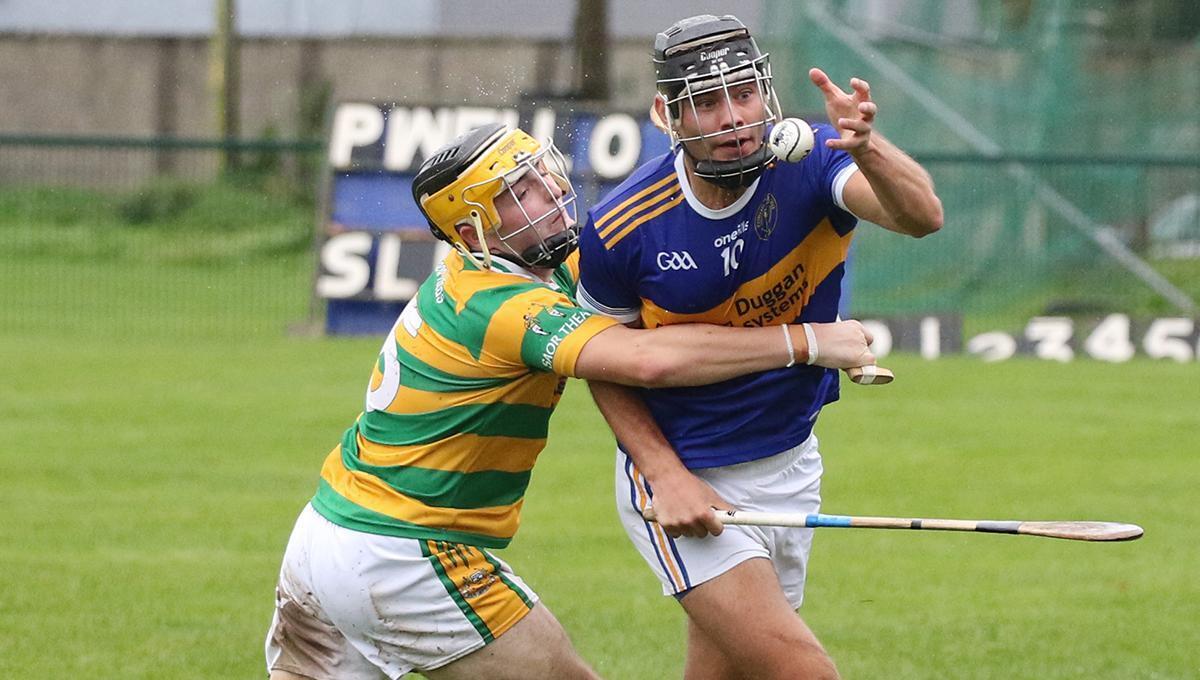 Liberties stun Well: 'It’s about time one of the so-called weaker clubs stepped up'