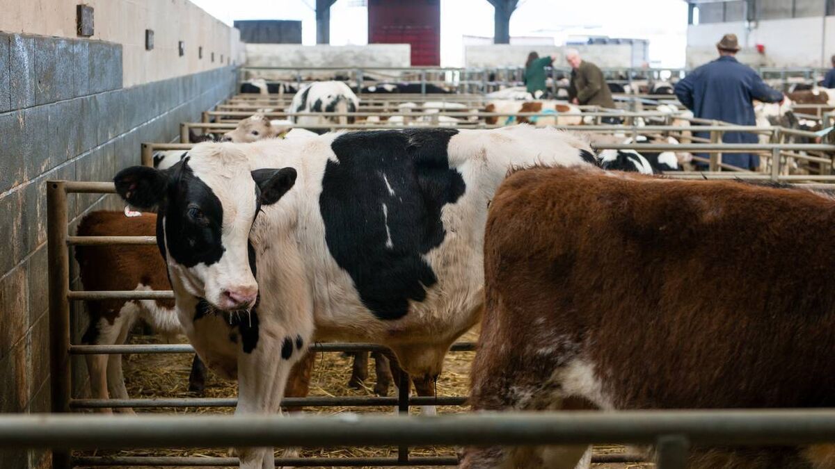 Farm Legal Advice: "Recent mart injury case is one every mart should consider" - Vimarsana News