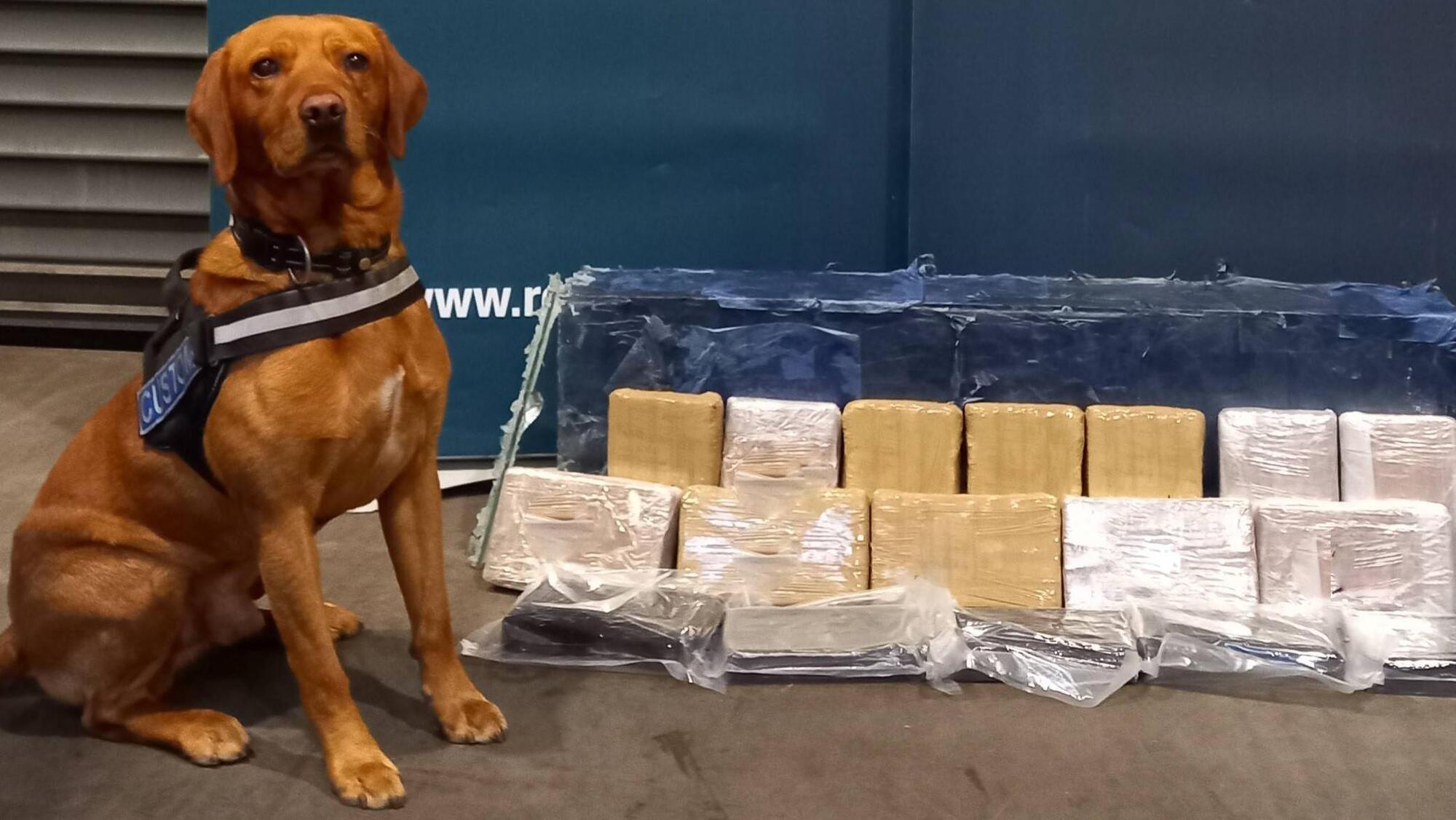Two arrested after cocaine worth €1.2m seized at Dublin Port