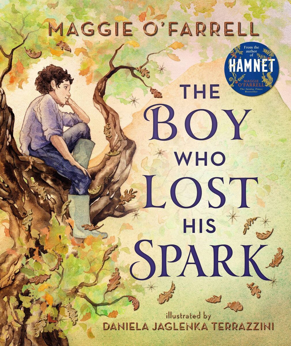 The cover of The Boy Who Lost His Spark, by Maggie O'Farrell. 