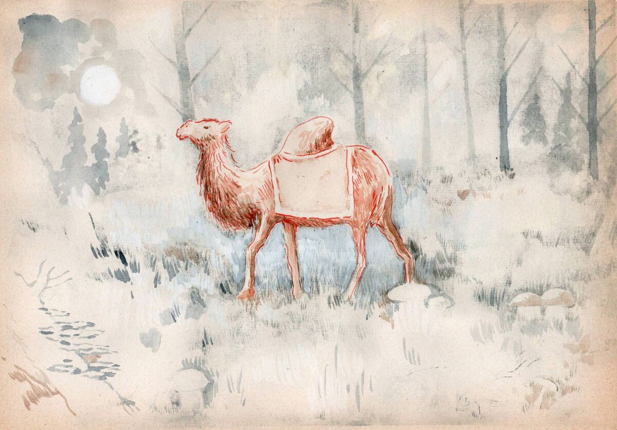 The Lost Camel, by Stephen Brandes.