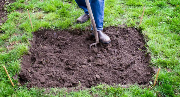 Timing is everything when planting your beds