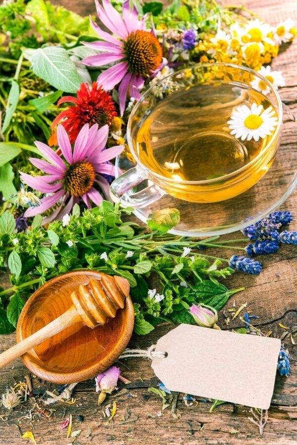 Echinacea tea or Echinacea cordial will support your immune system and elderberry jam or cordial will also help you better fight any infection. If you find yourself with the full-on beginnings of Rose-gardeners disease then you will require a doctor.