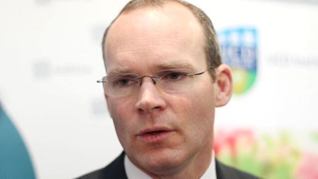 Simon Coveney says a lot but will he be there to see policy through?