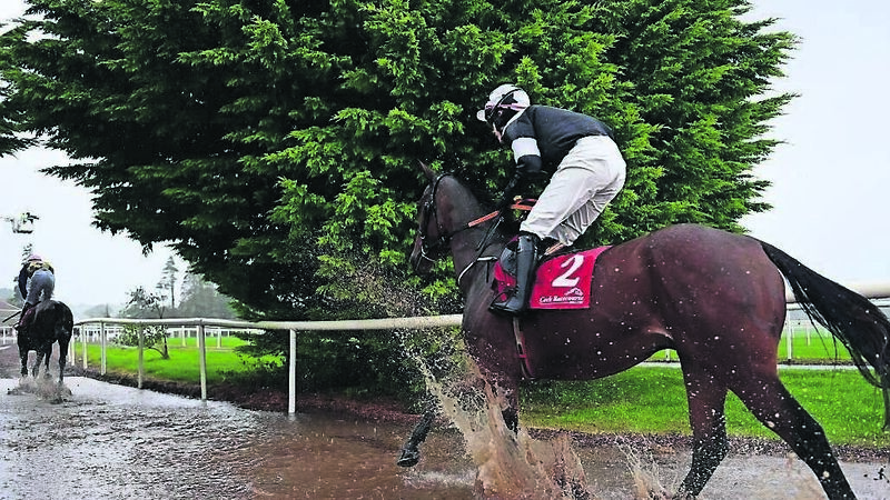 Fan De Blues bolts up despite some poor jumping