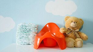 <p>The potty: not for everybody</p>