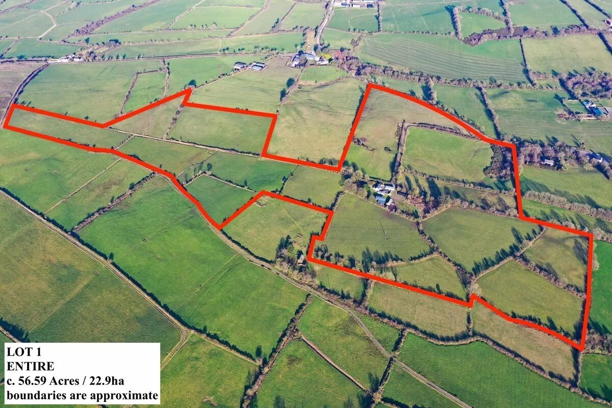 Aerial marked image of Lot 1 of the 56.6-acre farm for auction near Thurles.