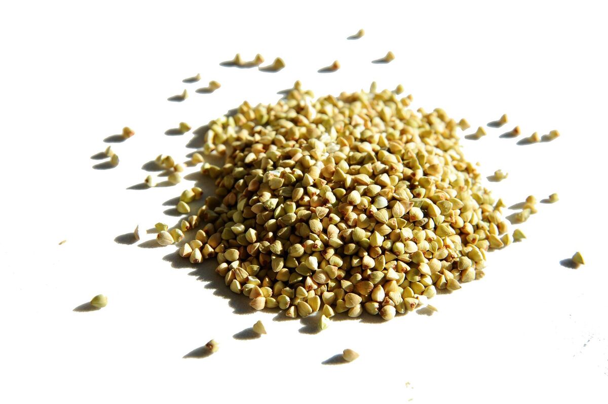 Buckwheat grains — it can be cooked like rice; roasted to make a porridge or finely ground into flour Buckwheat grains — it can be cooked like rice; roasted to make a porridge or finely ground into flour