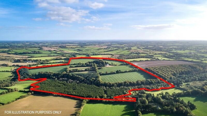 108-acre Wexford holding with period house for auction