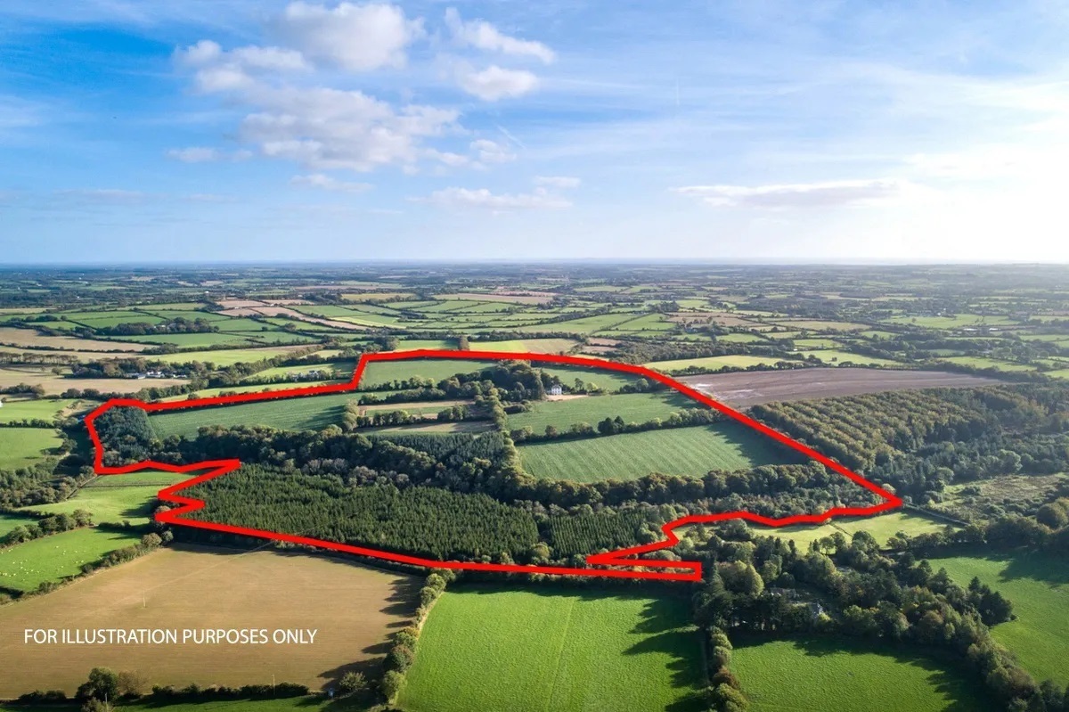 Aerial view of the period house on 108 acres of land for auction online.
