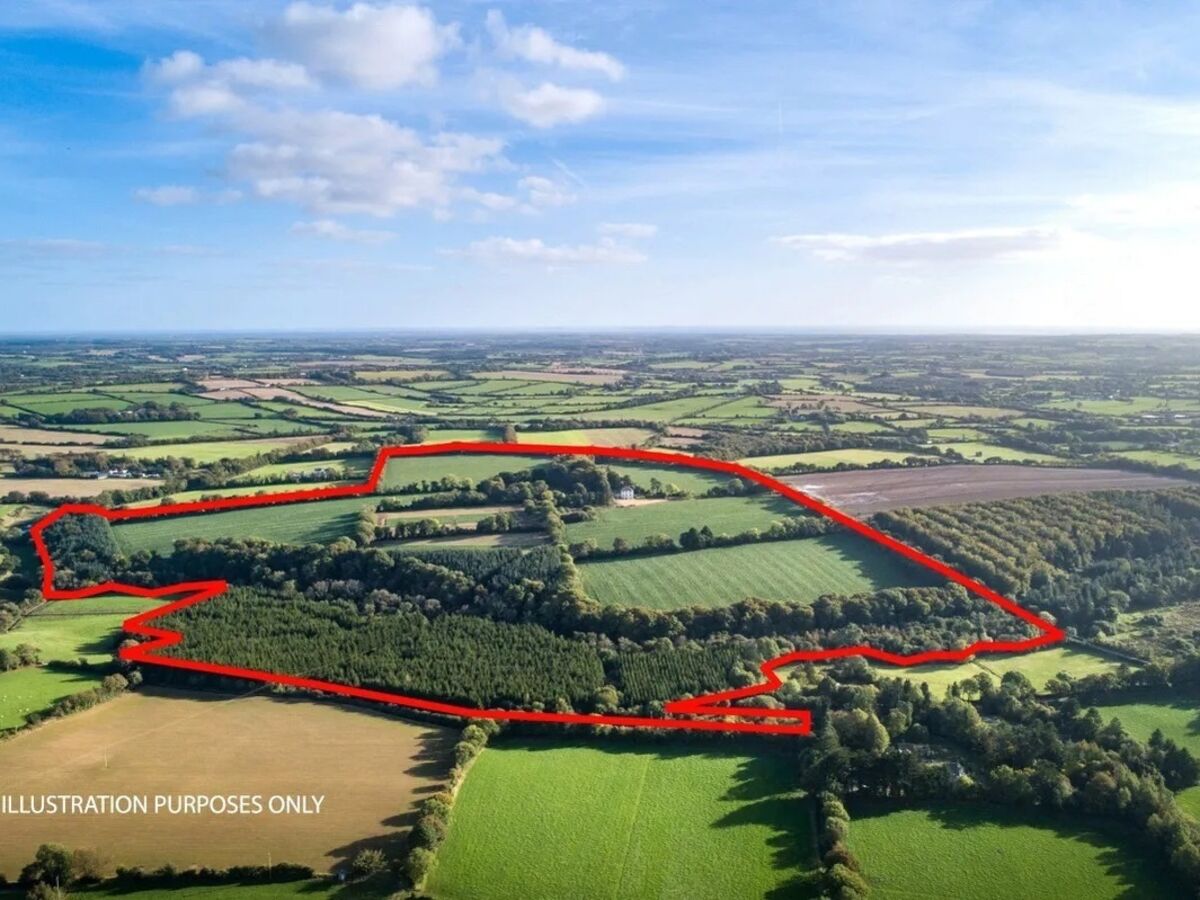 108-acre Wexford holding with period house for auction