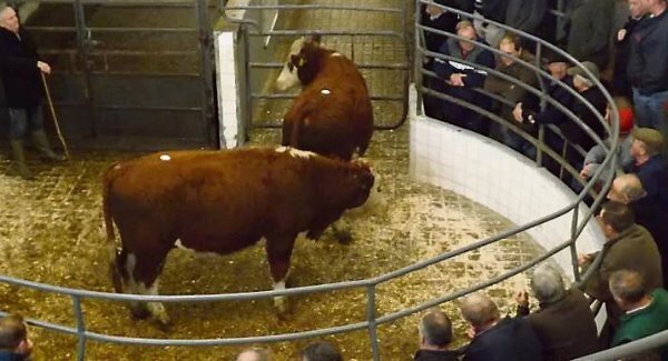 Macra service brings young and old farmers together