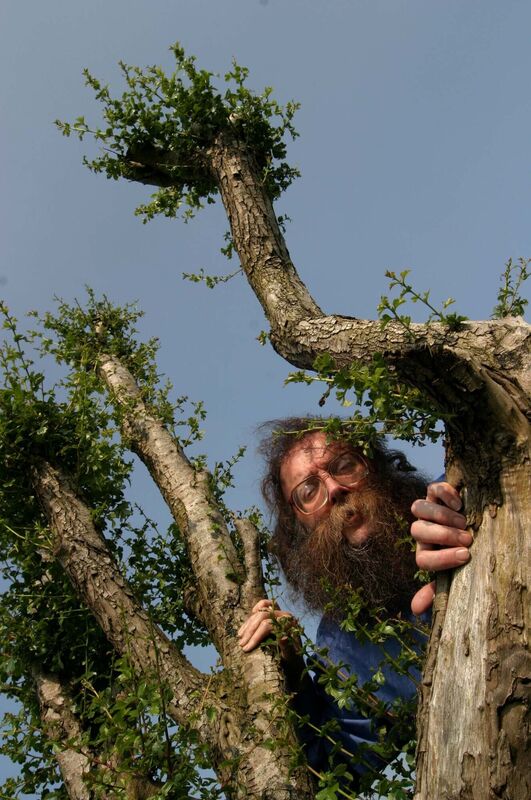 Eddie Lenihan with the Newmarket On Fergus fairy tree in 2003 which has started to grow back after being vandalised almost a year ago in 2002. Picture: Brian Arthur/Press 22