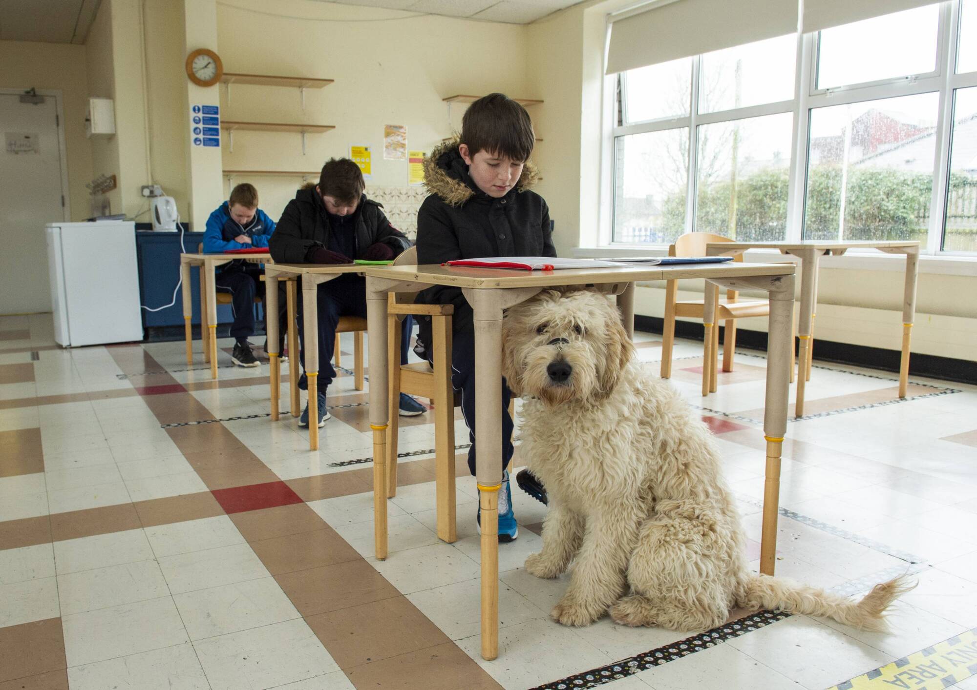 Big Picture 2022 is being held this weekend at the Temperance Hall in Kinsale, Co Cork. Dan Linehan will be speaking about the 'Irish Examiner' pictures archive at 12pm on Saturday and Sunday. In this picture, the school dog takes pride of place under the desk of Calum Murphy as he and his friends T J O'Connell and Stephen Murphy return to the classroom at St Killian's special school in Mayfield, Cork. Picture: Dan Linehan