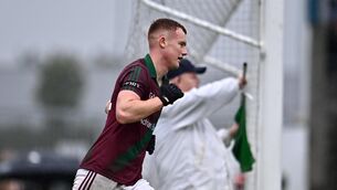 <p>Colm Murphy had six points for Portarlington Photo by Sam Barnes/Sportsfile</p>