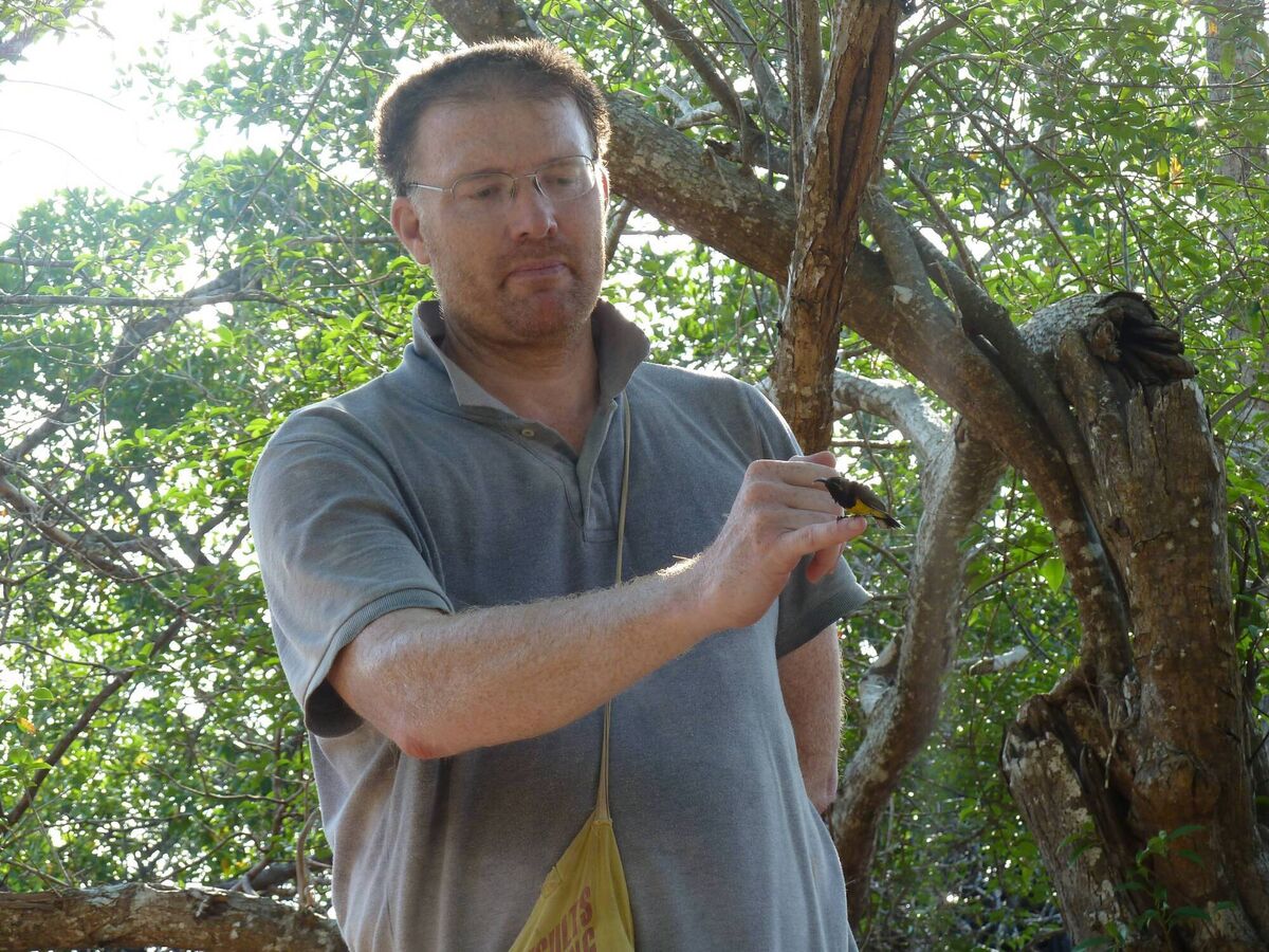  Dr David Kelly with an Olive-backed Sunbird on Buton Island, off Sulawesi in Indonesia. The Wakatobi Sunbird is currently treated as a subspecies of the widespread Olive-backed Sunbird, but this new study shows that it is a unique species found only on the Wakatobi Islands
