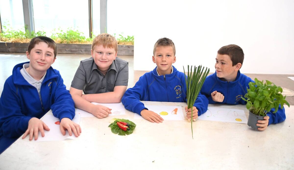 It was green thumbs up all round from ( L to r) Darragh Burns, Mark Cahill, Oisin Morey and Fionn Coleman, who enjoyed their time at the gallery.