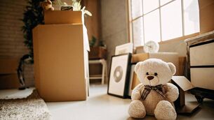 <p>Permanence is a stage of development for young babies/toddlers.</p>