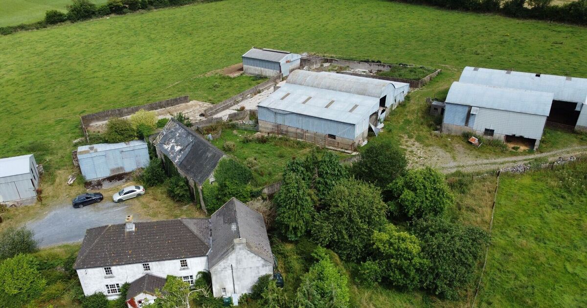 Kilkenny farm makes €3.1 million at auction