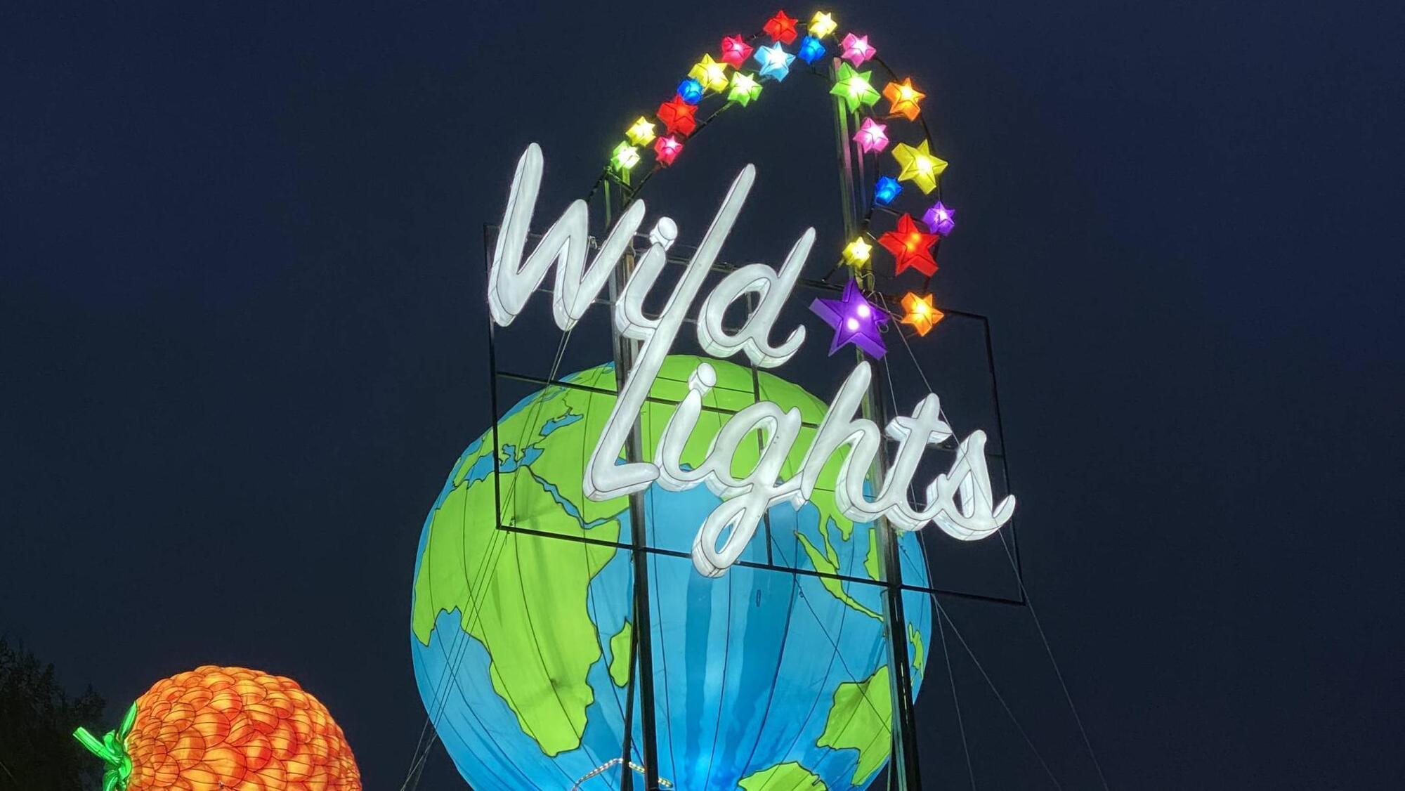 Wild Lights preview: An enjoyable spectacle but is it too expensive for families?