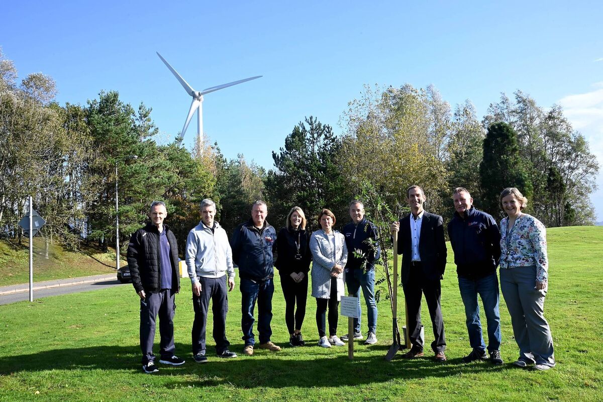 Colm Hynes, Plant Manager at DePuy Ireland, planting an Irish Mountain Ash Tree to commemorate the site's 25th anniversary.