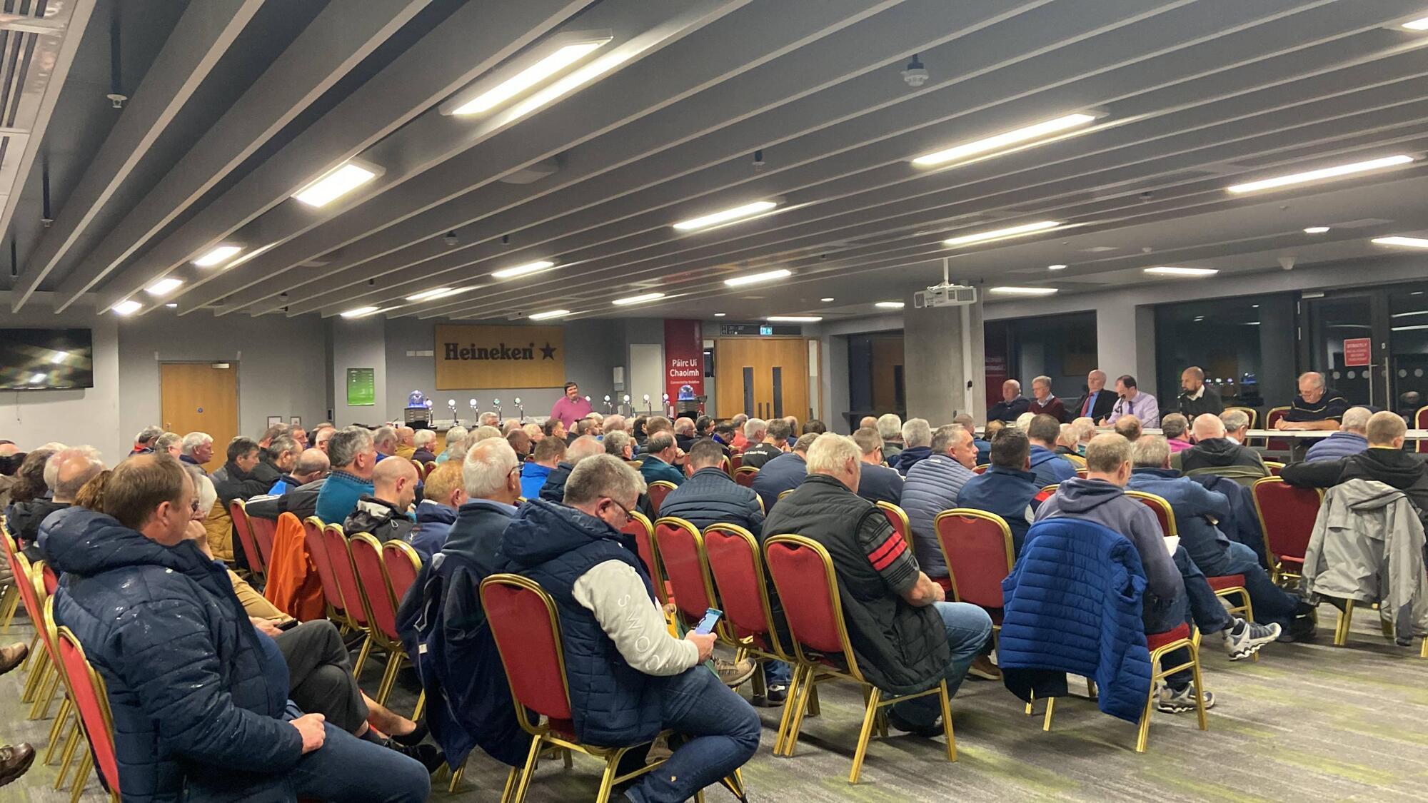 Age grade debate: 'A fella can go down the street with two children at 18 but he can’t play junior hurling with his club?'