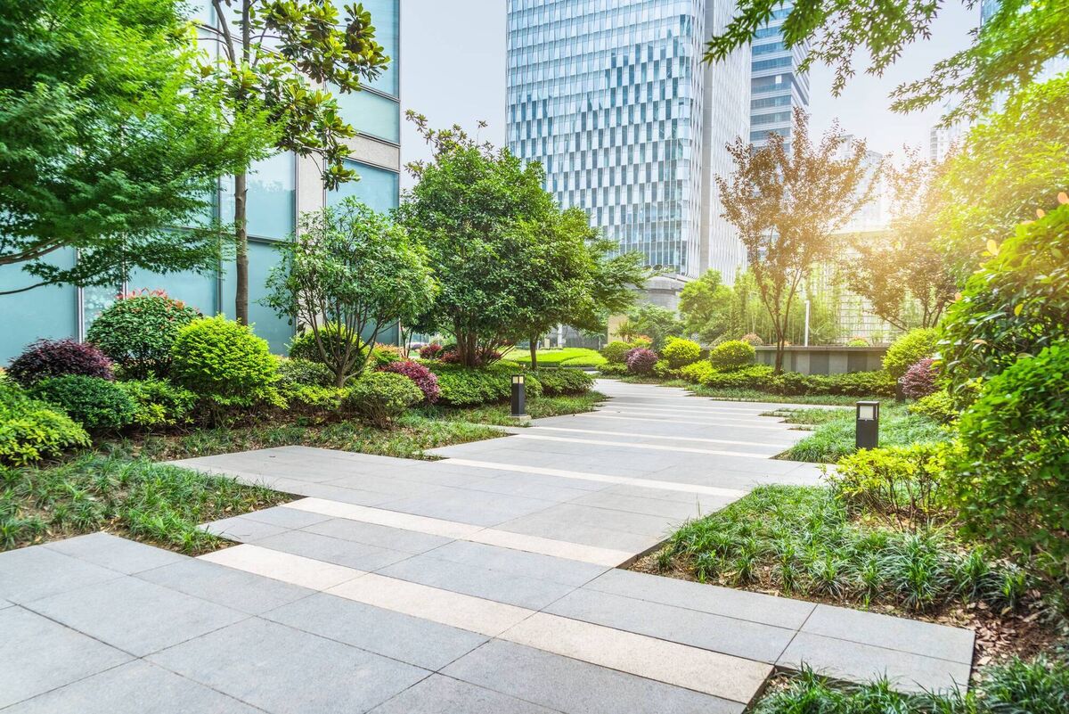 Rain gardens and living or green walls can play a huge part in alleviating flood risks. Picture: iStock