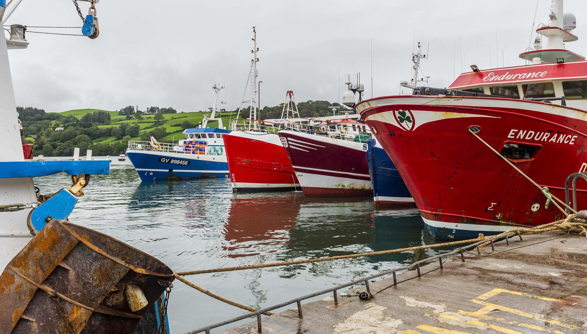 'This is the death rattle for Irish fishing': dozens of trawlers to be decommissioned in State scheme