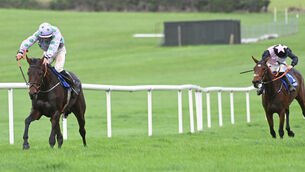 <p>REWRITING THE SCRIPT: Whosgotyanow and Cian Quirke win the Start Your Free Trial At racingtv.com/join Mares' Chase at Clonmel at the expense of 2-7 favourite Magic Daze. 	Picture: Healy Racing</p>