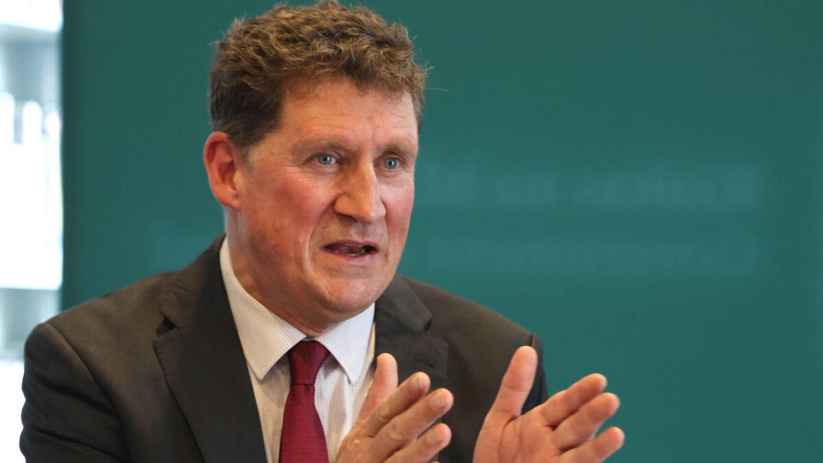 First €200 electricity credits will begin to appear on bills from tomorrow - Vimarsana News