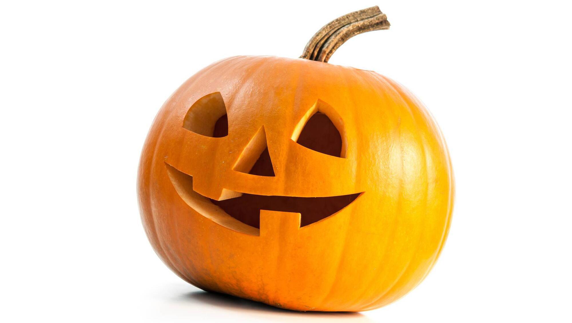 Julie Jay: Darling Husband dives into the pumpkin TikTok style with a hand mixer 