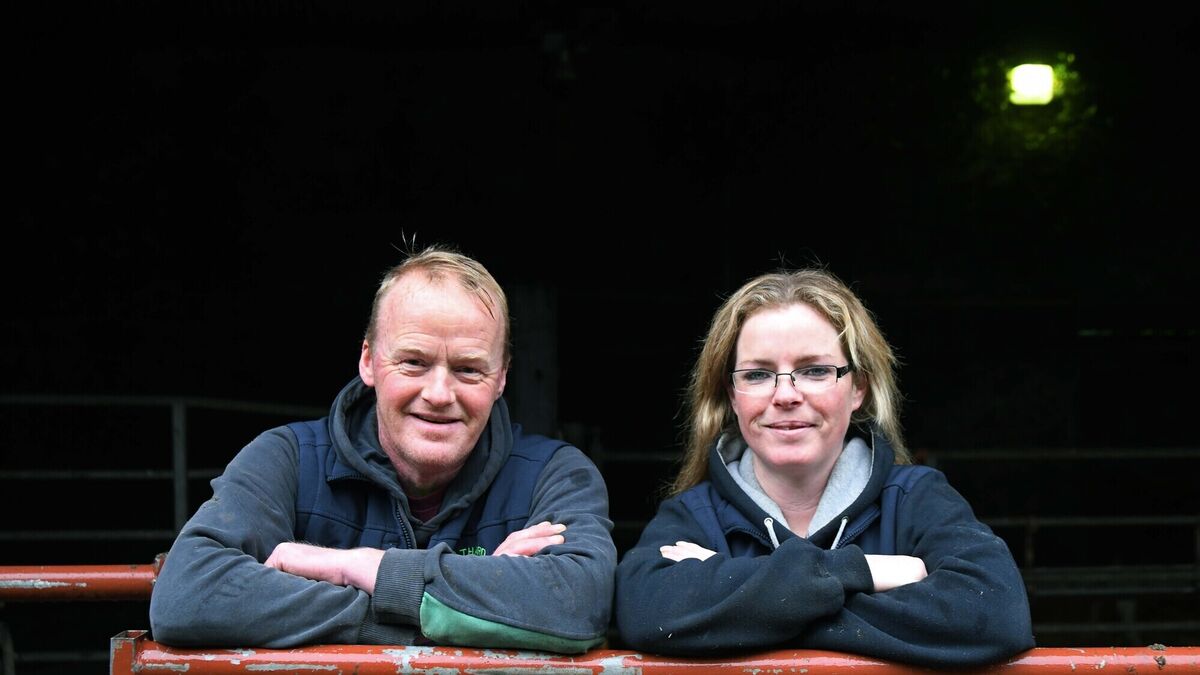 Paula Hynes: Our first time showing at the National Dairy Show - Vimarsana News