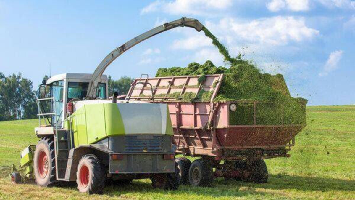 €30m Fodder Support Scheme launched for 2023 - Vimarsana News