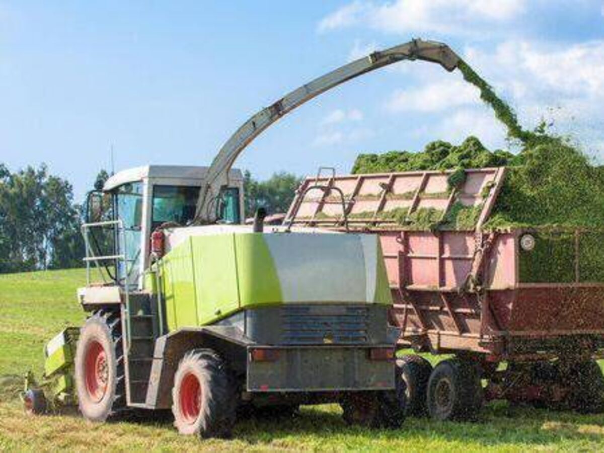 €30m Fodder Support Scheme launched for 2023