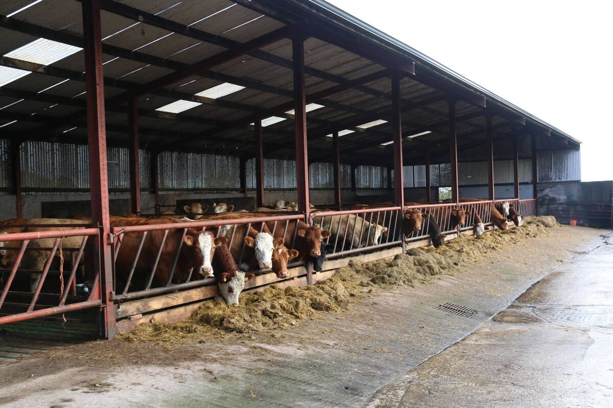 David Brown's farm in Florencecourt, Co Fermanagh David Brown's farm in Florencecourt, Co Fermanagh
