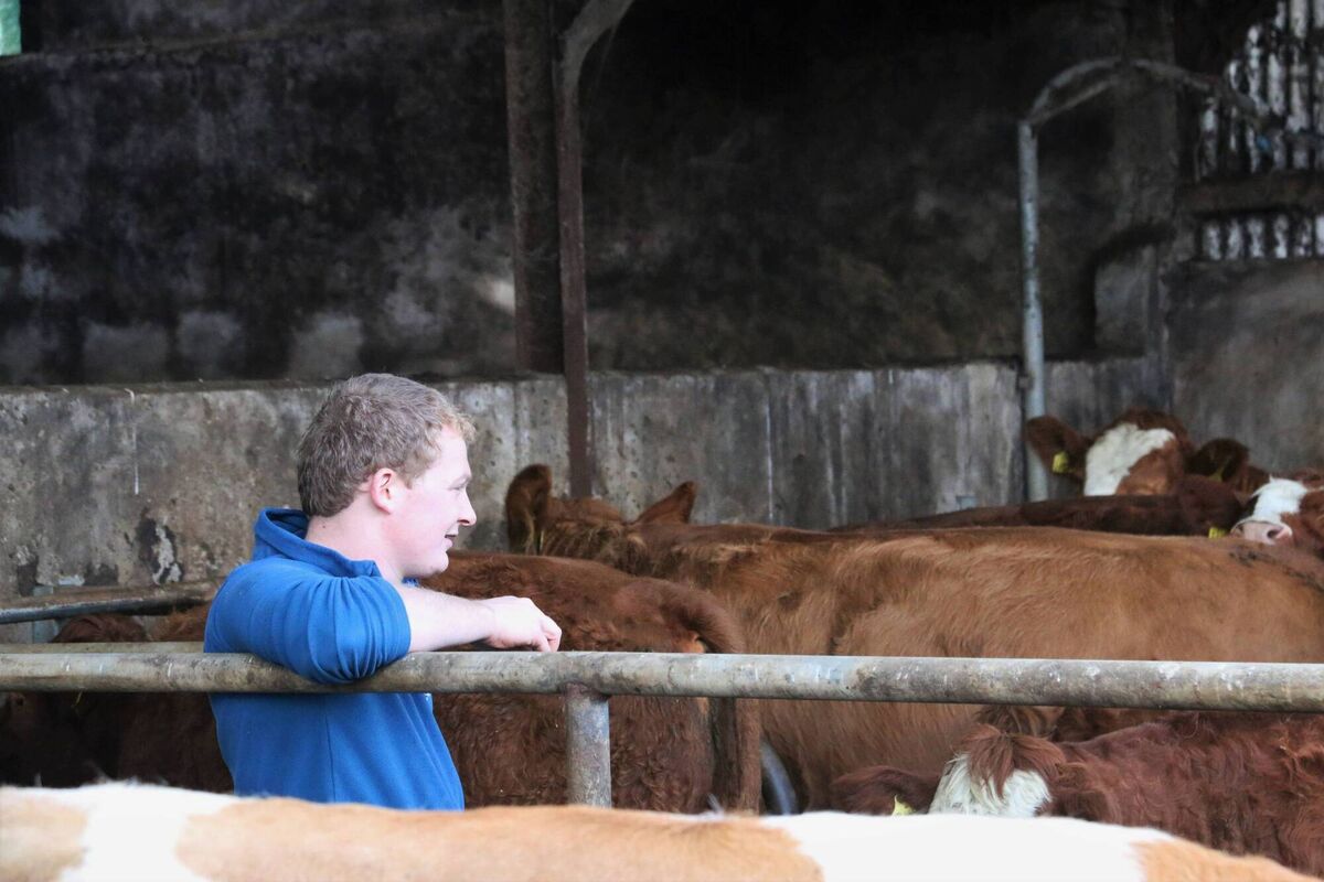 Neil Brown pictured on the family farm in Florencecourt, Co Fermanagh Neil Brown pictured on the family farm in Florencecourt, Co Fermanagh