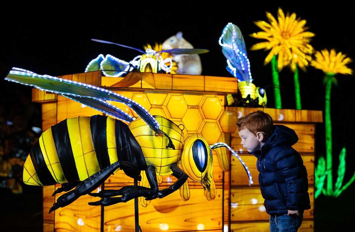 Dublin Zoo has announced that Wild Lights will return once again this winter with an exciting new theme - ‘The Magic of Life’. Dublin Zoo has announced that Wild Lights will return once again this winter with an exciting new theme - ‘The Magic of Life’.