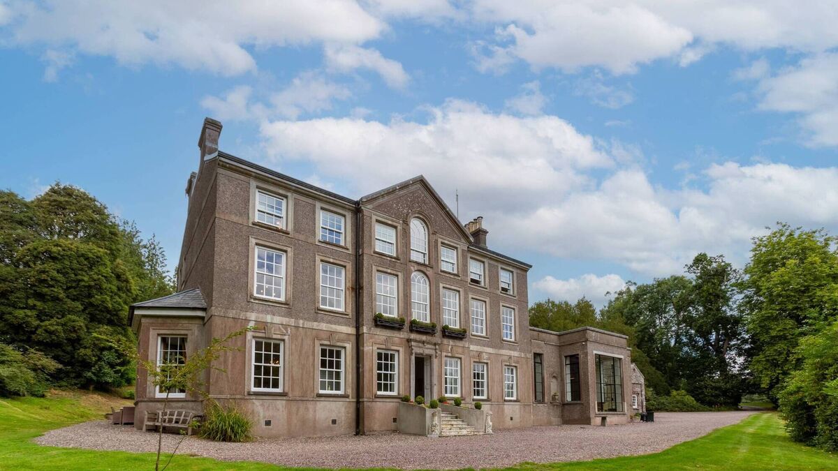 Tommy Barker: Cork properties hit post-boom record highs despite jittery market - Vimarsana News