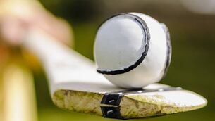 <p>IMPRESSIVE HAUL: An impressive personal total of 2-11 from Shane Meehan was the difference for Banner of Clare against Kilgarvan in the Munster club Junior Hurling Championship. File pic</p>