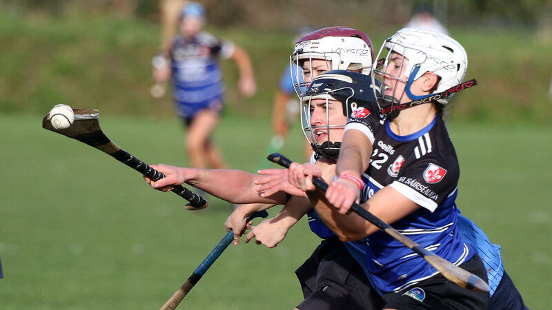 Sarfields exit Munster championship after pulsating Scariff clash 