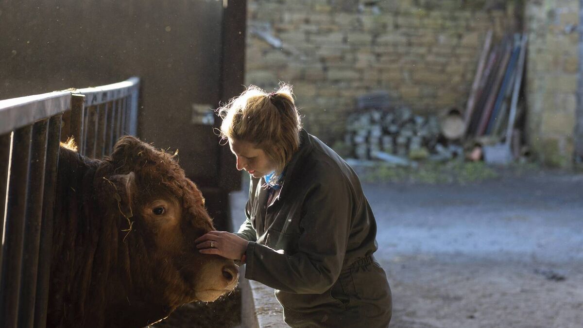 Karen Walsh: I've been a farmer's wife all my life but now find I won't get a pension - Vimarsana News