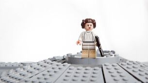 <p>Princess Leia: a strong pop-cultural symbol, and an arguable gender non-conformist</p>