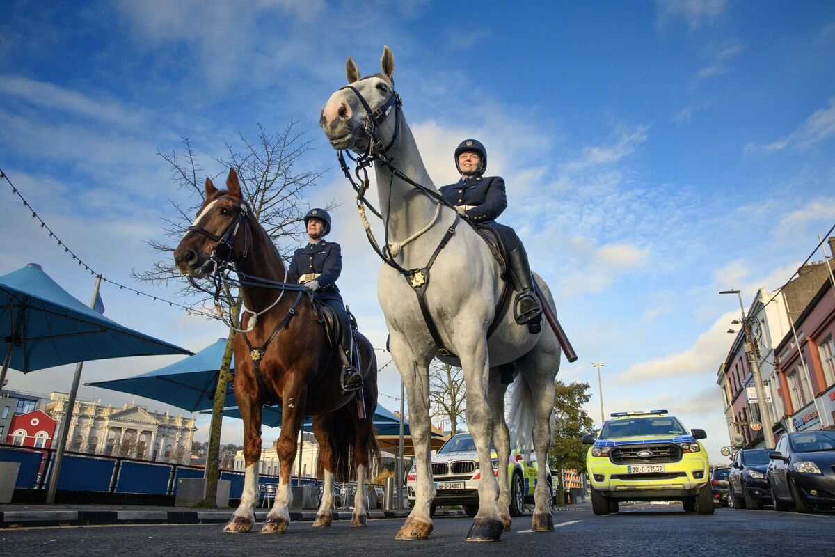 The parade included members of the mounted unit. Picture: Daragh McSweeney/Provision