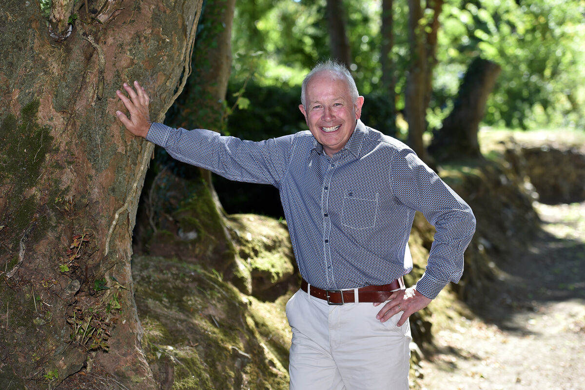 Paudie Palmer's stem cell transplant was a success, "a bit like a blood transfusion. Then you return to have cells put back in".