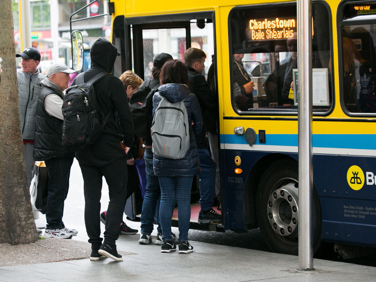Can You Bring Dogs On Dublin Bus