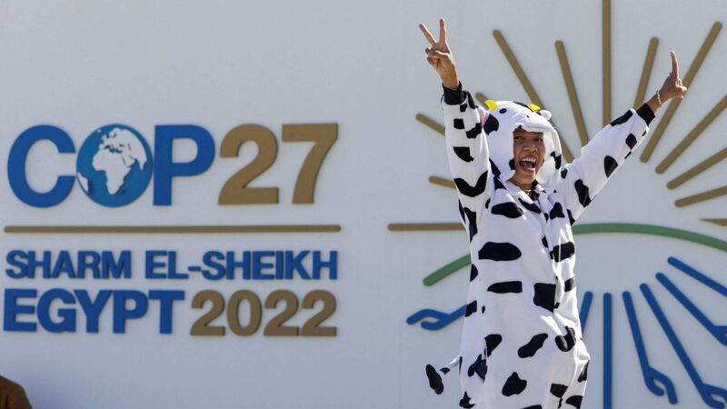 Letters to the Editor: Garda boss links rise in number of thefts to high inflation levels