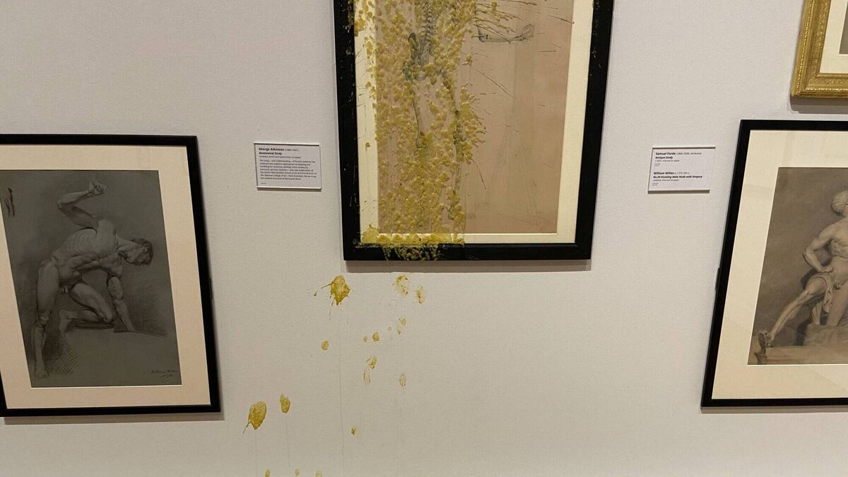 Corkman accused of throwing soup at Crawford Art Gallery painting to contest case - Vimarsana News